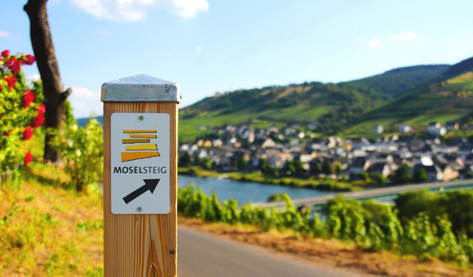 Gaestehaus Weingut Mathy-Schanz Osann-Monzel Extérieur photo