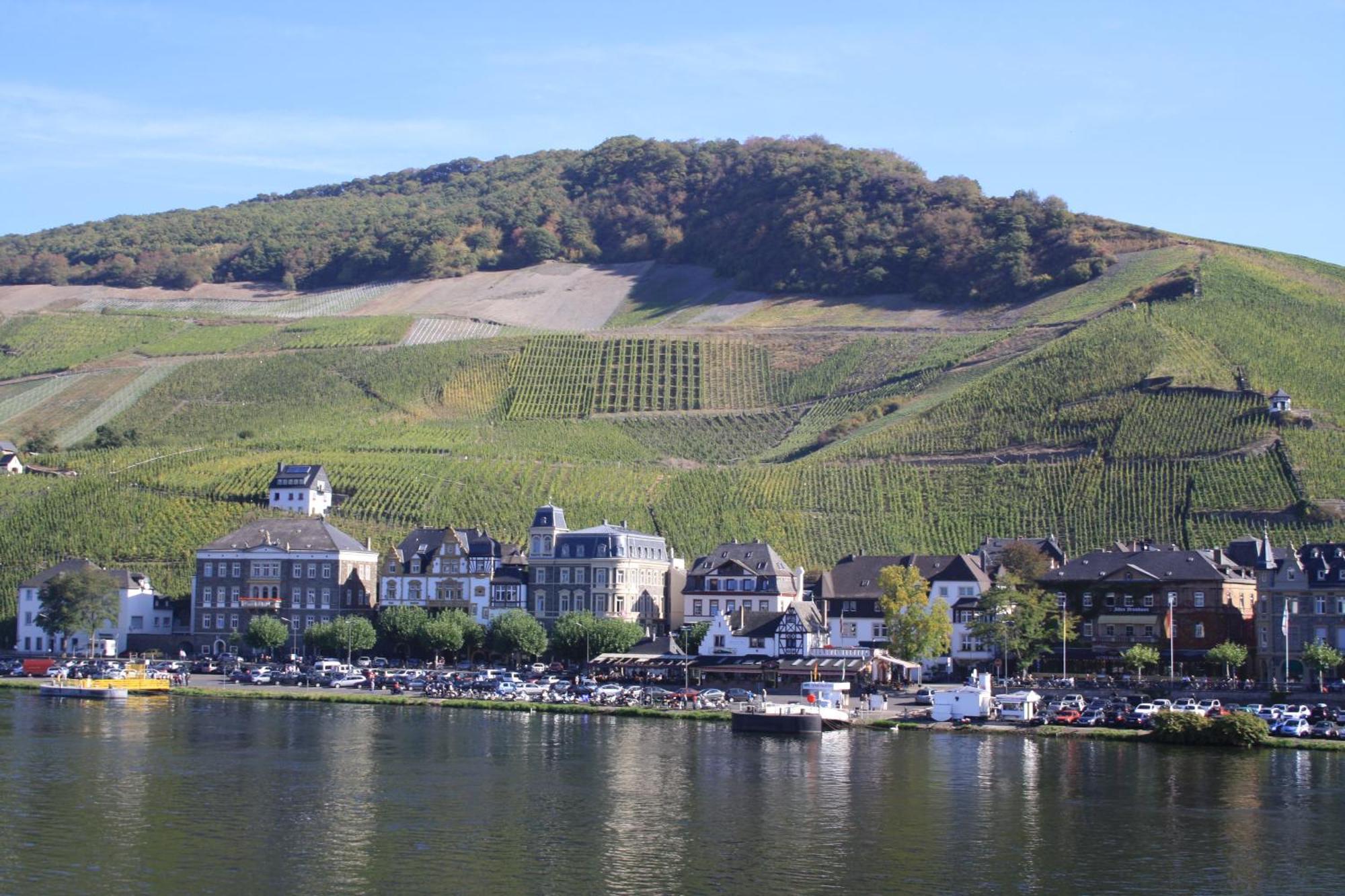 Gaestehaus Weingut Mathy-Schanz Osann-Monzel Extérieur photo